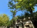 pere lachaise 2021