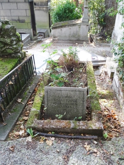 57 | GALLI-MARIE Célestine (1837-1905)