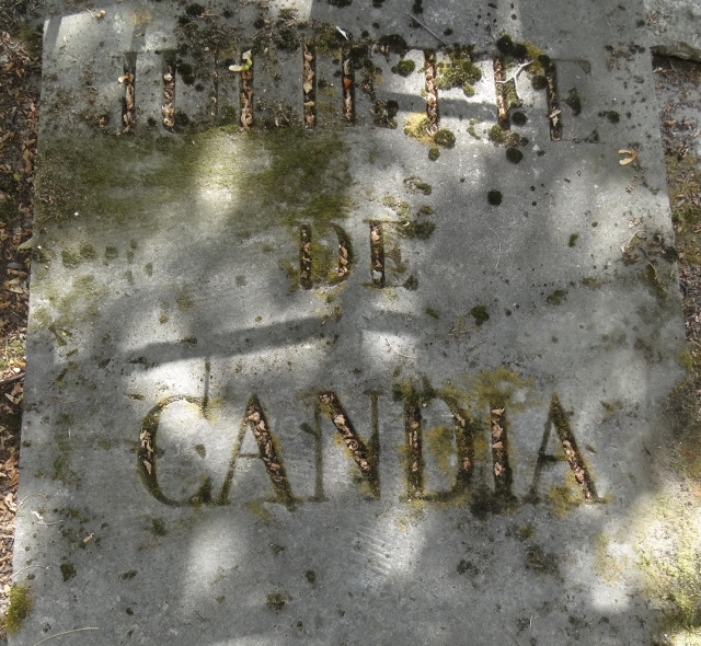 26 | GRISI Giulia, Mme de CANDIA (1811-1869)