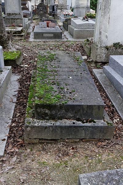 49 | MAC-NAB Maurice (1856-1889)