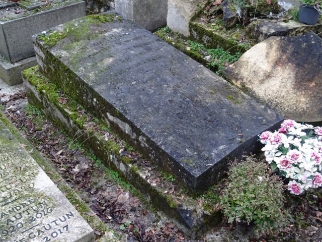 41 | Marie Weis (1856 – 1886)