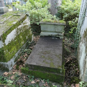 2729.jpg