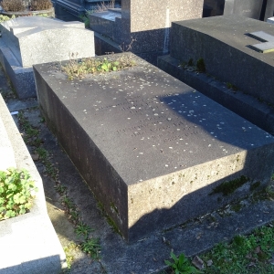 3196.jpg