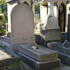 3235.jpg