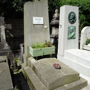 3243.jpg