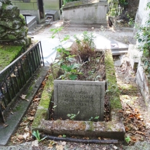 3250.jpg
