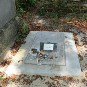 43 | SOLAL Martial (1927-2024)
